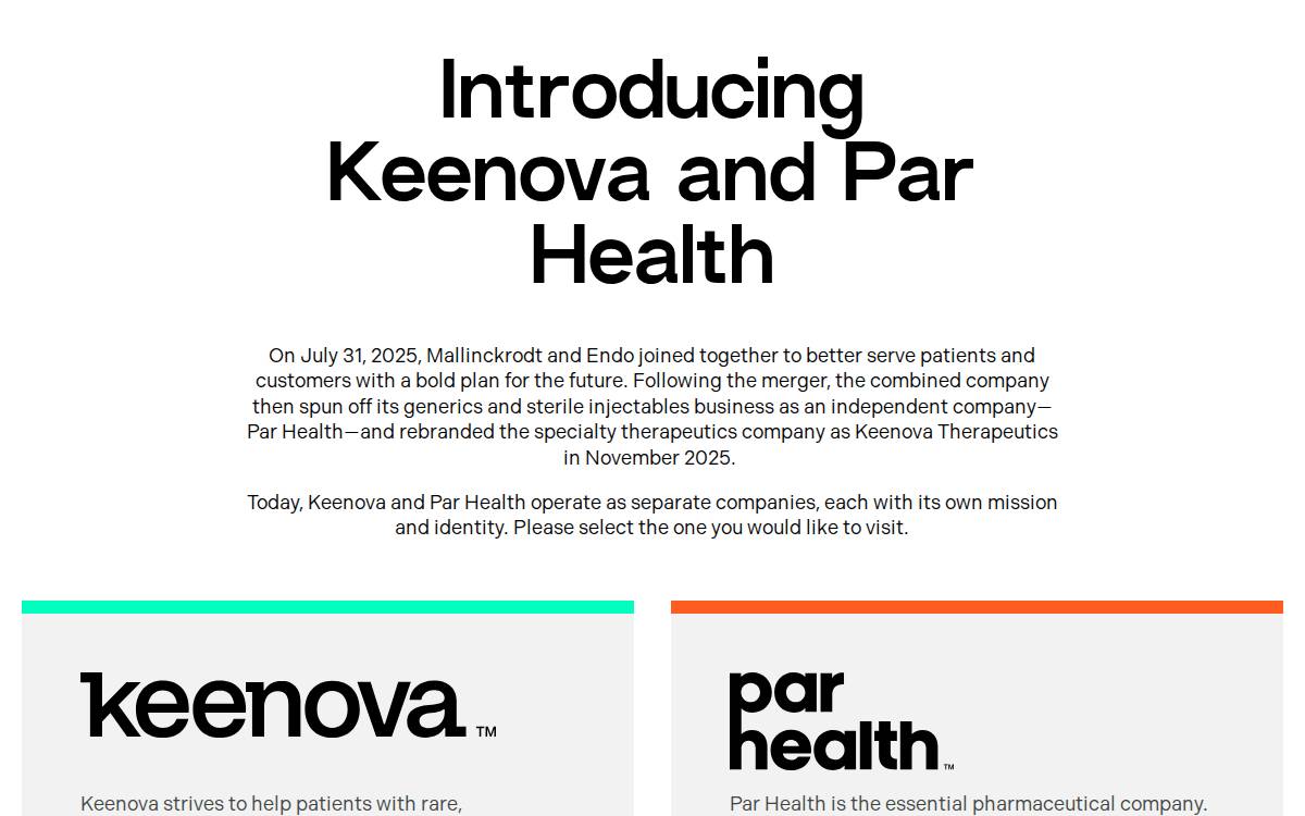Endo website preview