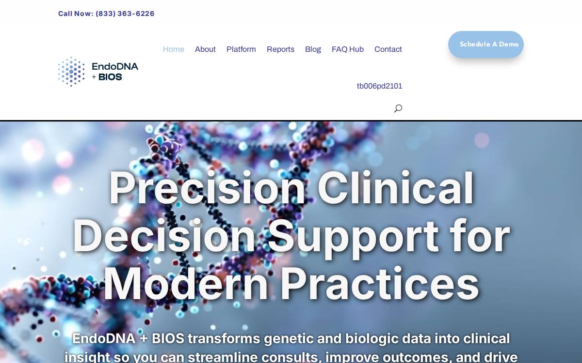 Endodna website preview