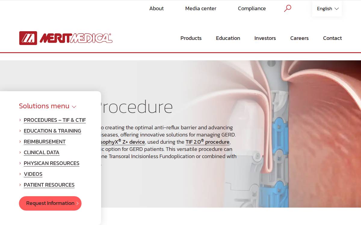 EndoGastric Solutions website preview