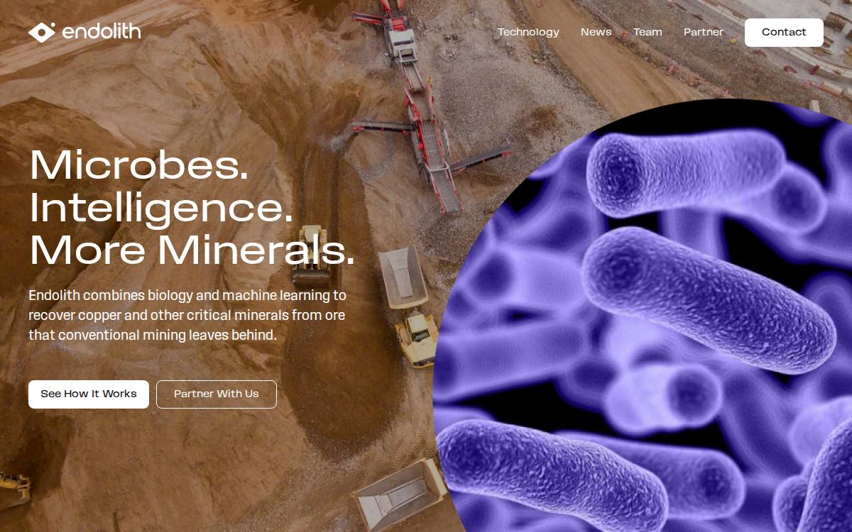 Endolith Mining website preview