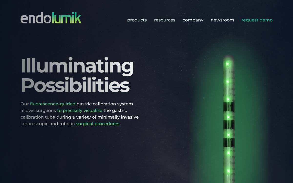 Endolumik website preview