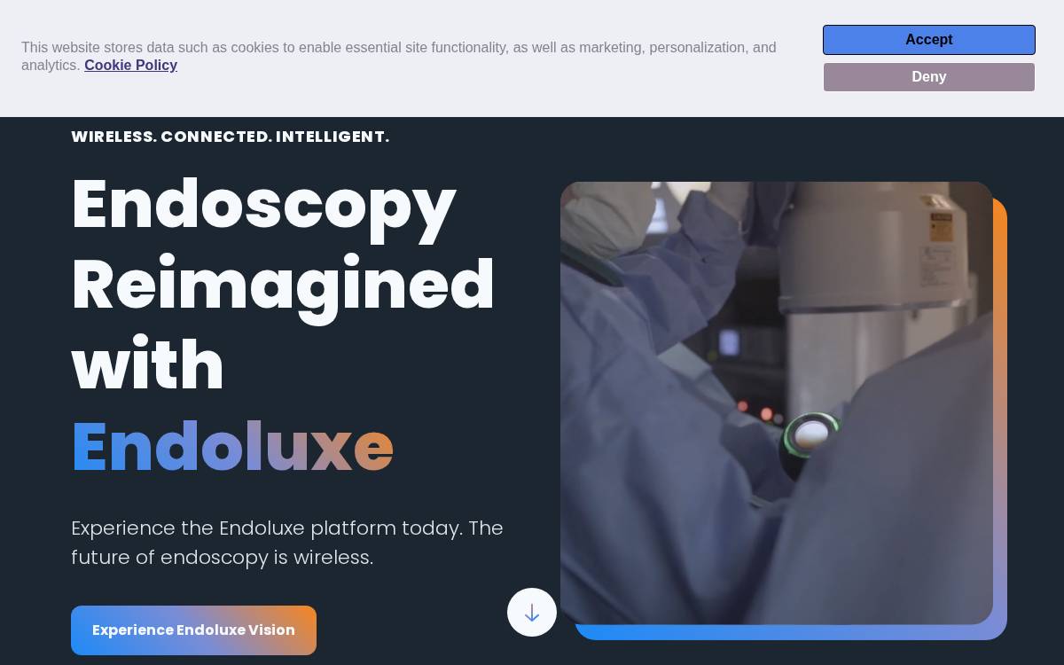 Endoluxe website preview