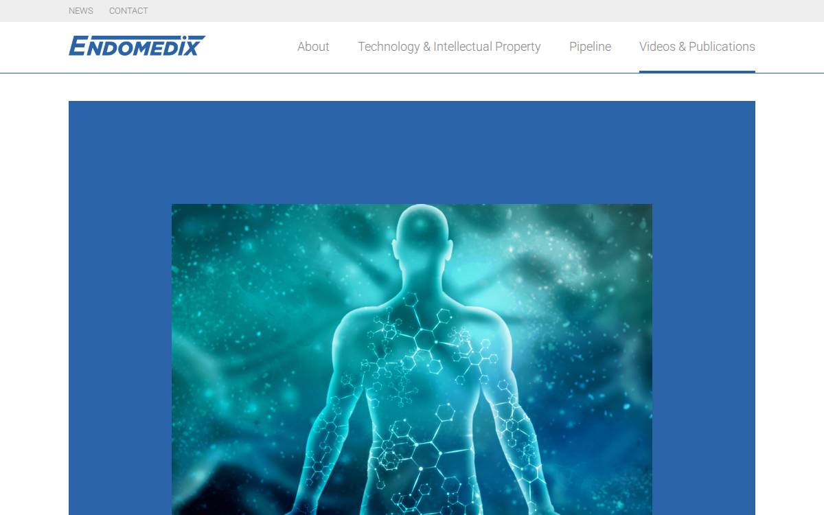Endomedix website preview