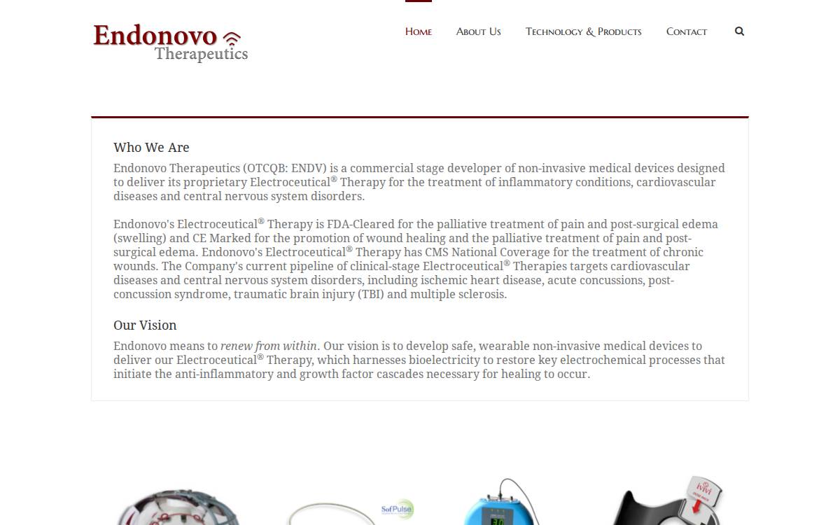 Endonovo Therapeutics website preview