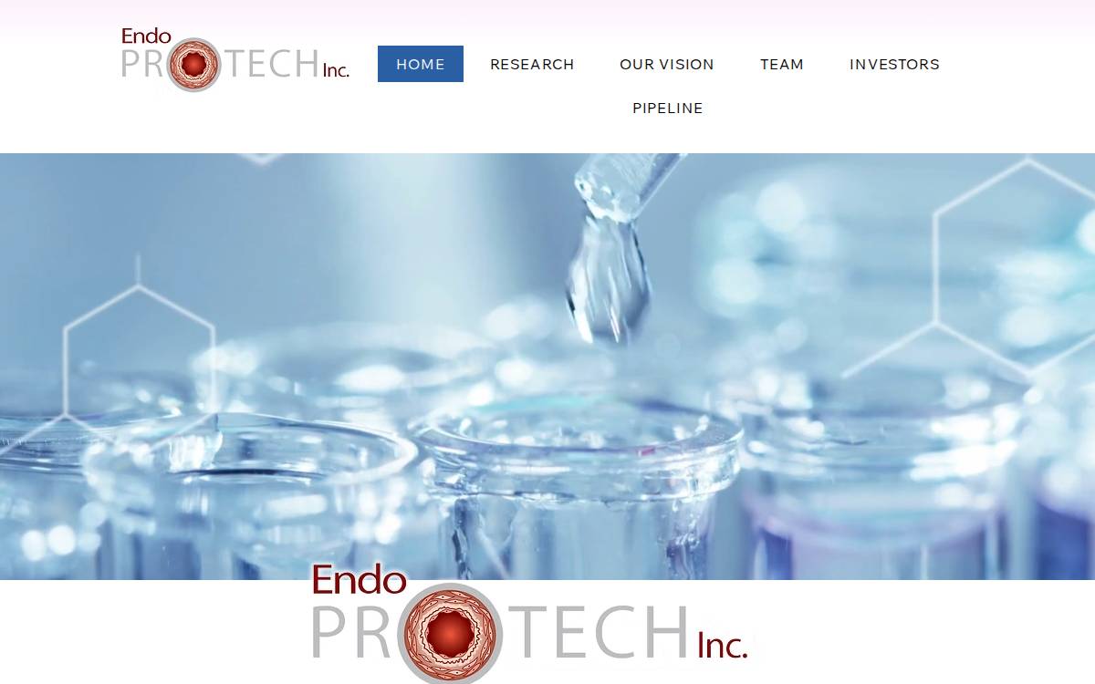 Endoprotech website preview