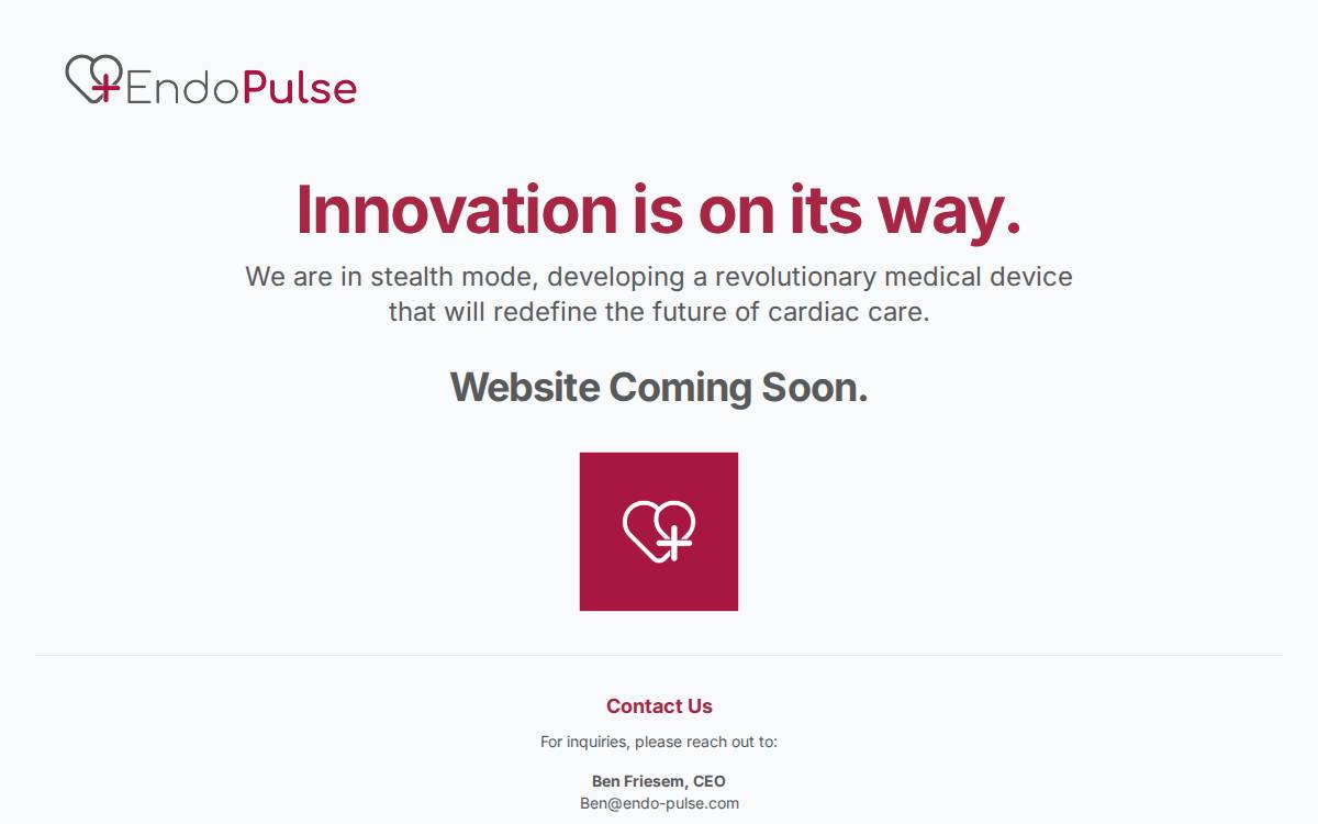 EndoPulse website preview
