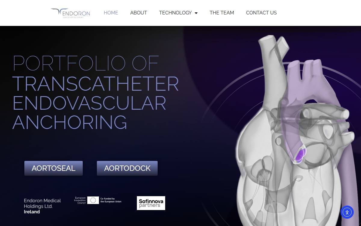 Endoron Medical website preview