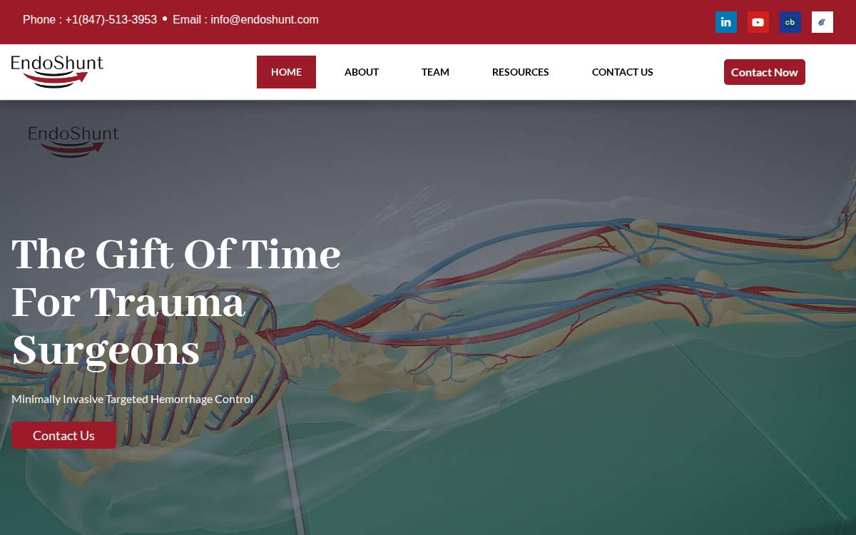 Endoshunt website preview