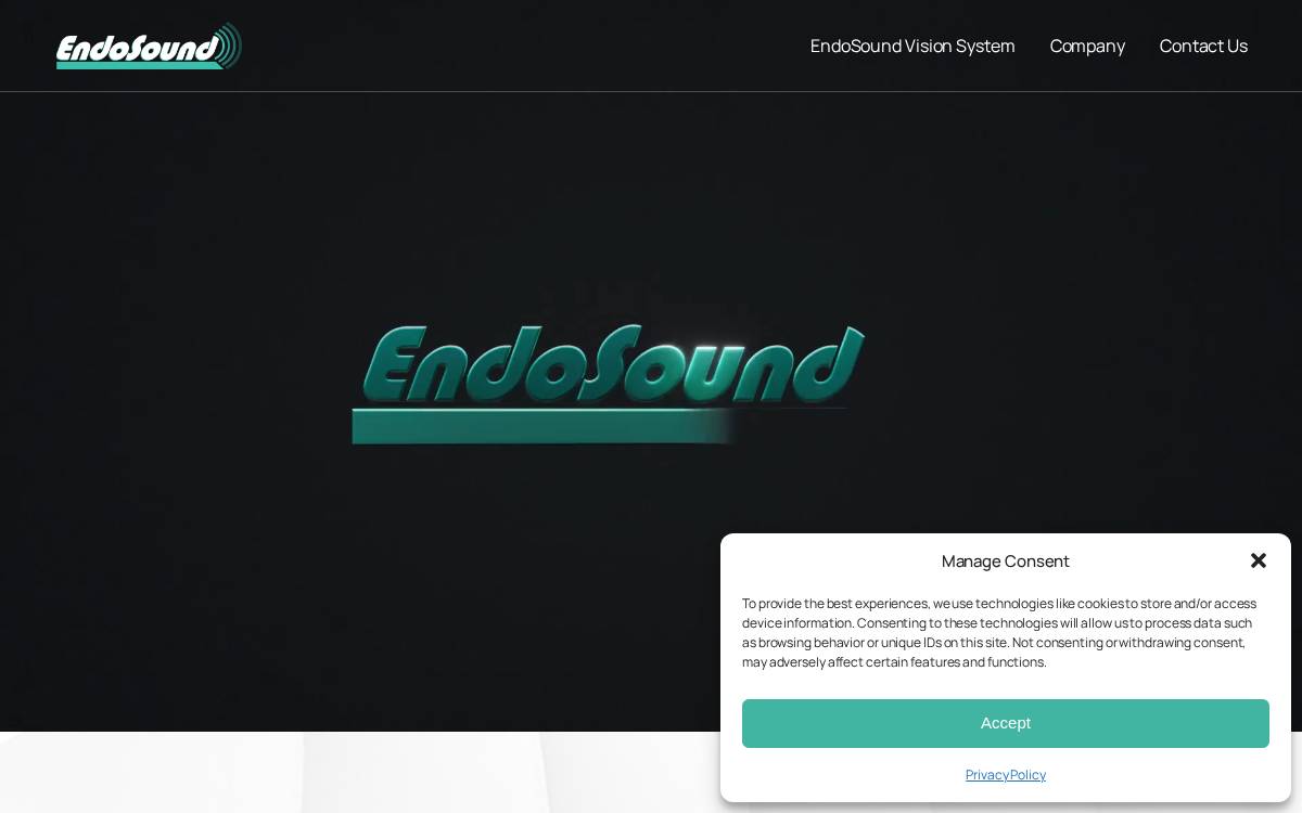 EndoSound website preview