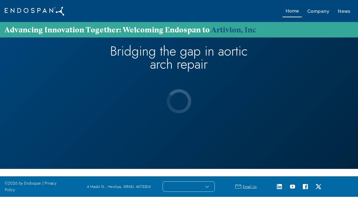 Endospan website preview