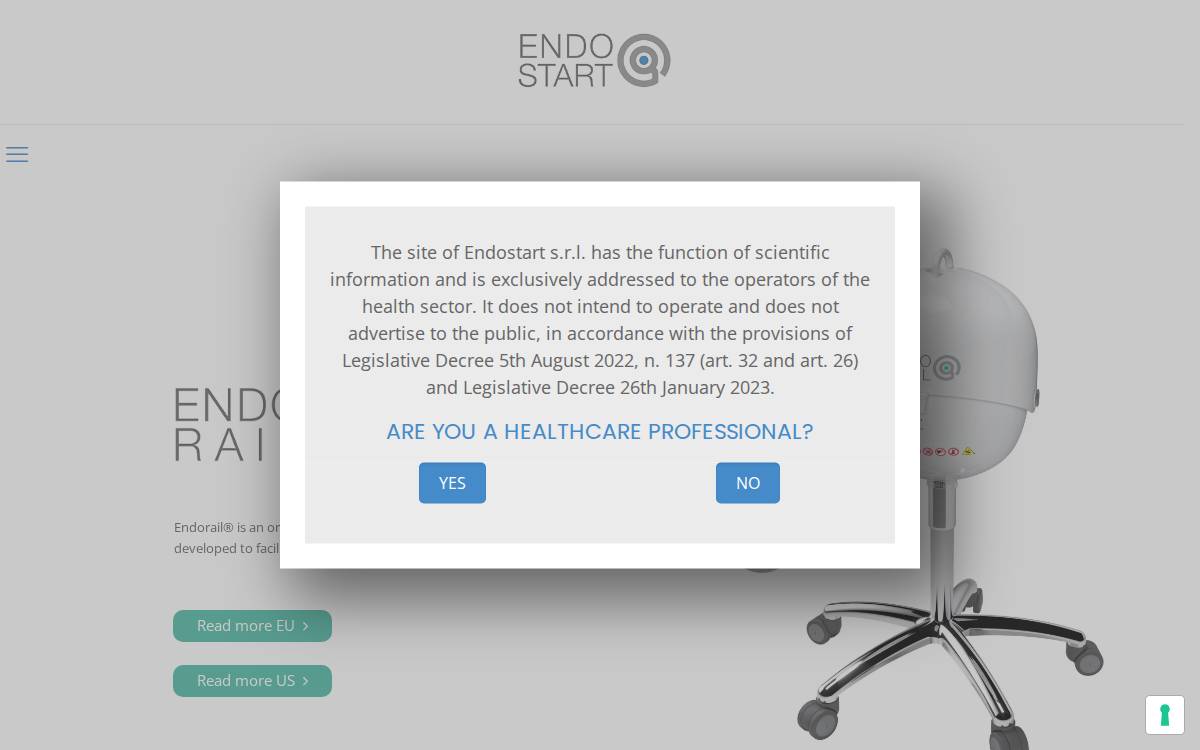 Endostart website preview