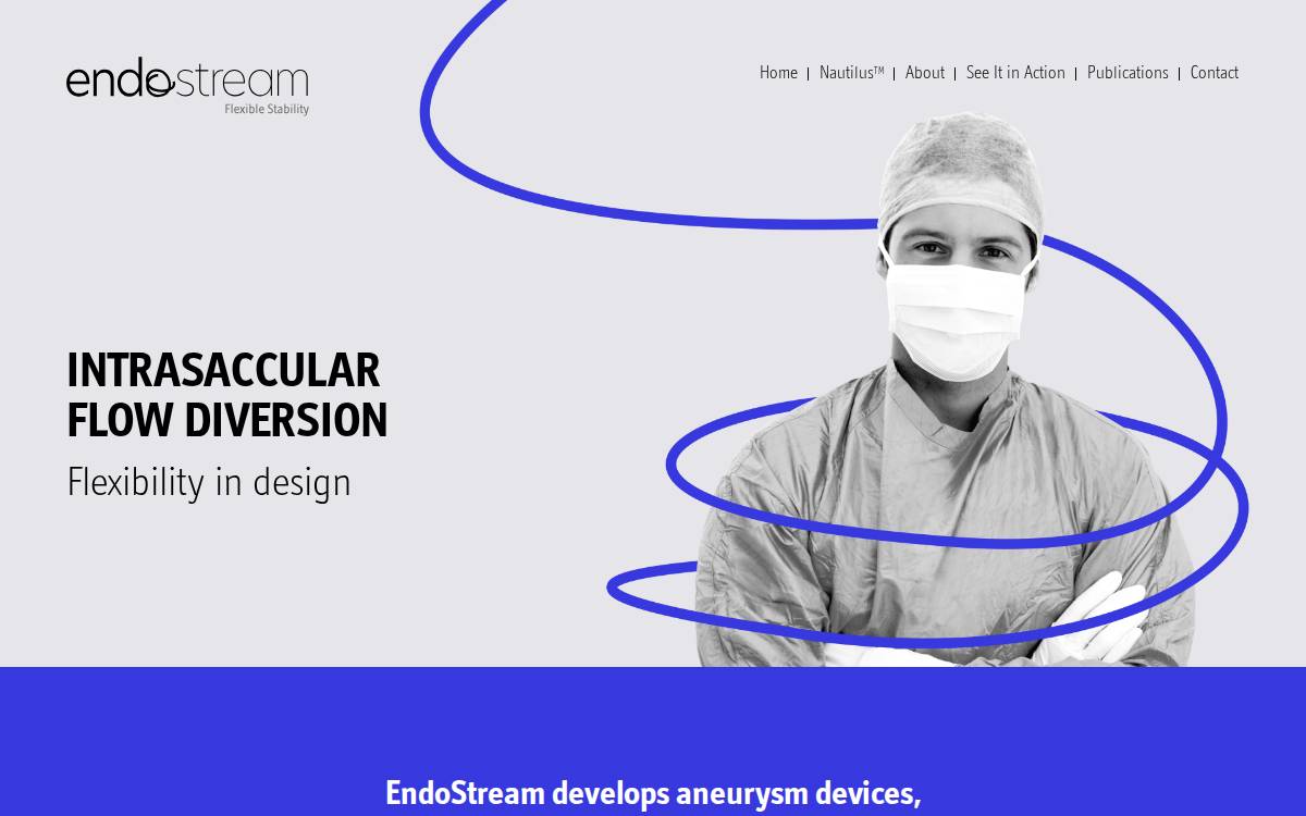 Endostream website preview