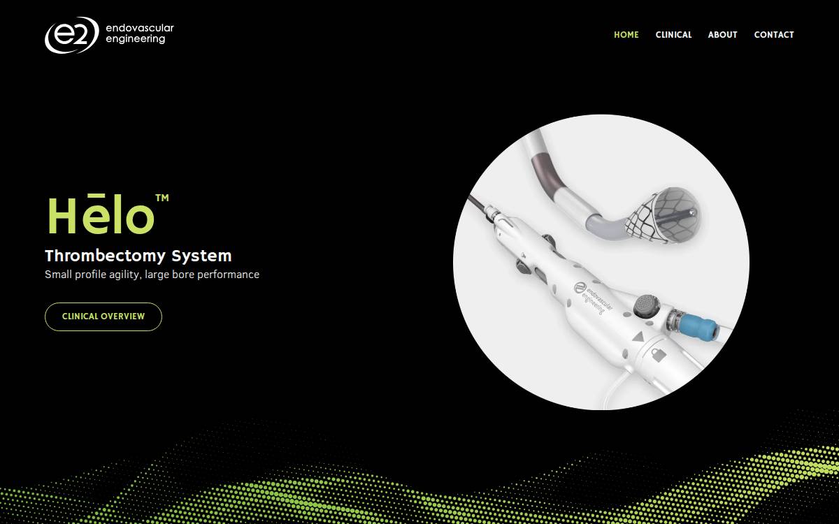 Endovascular Engineering website preview
