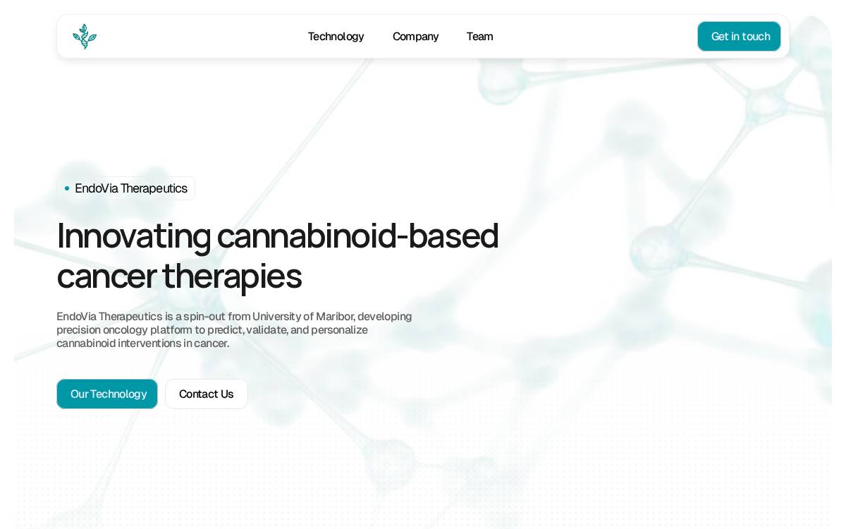 EndoVia website preview