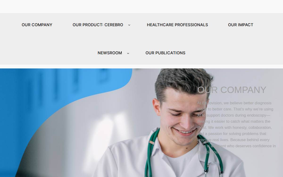 Endovision website preview