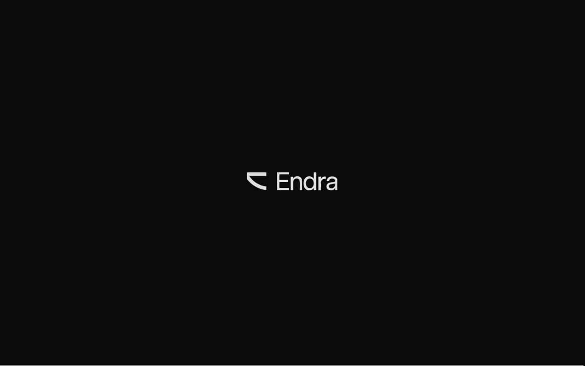 Endra website preview