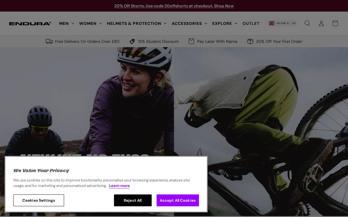 Endura website preview
