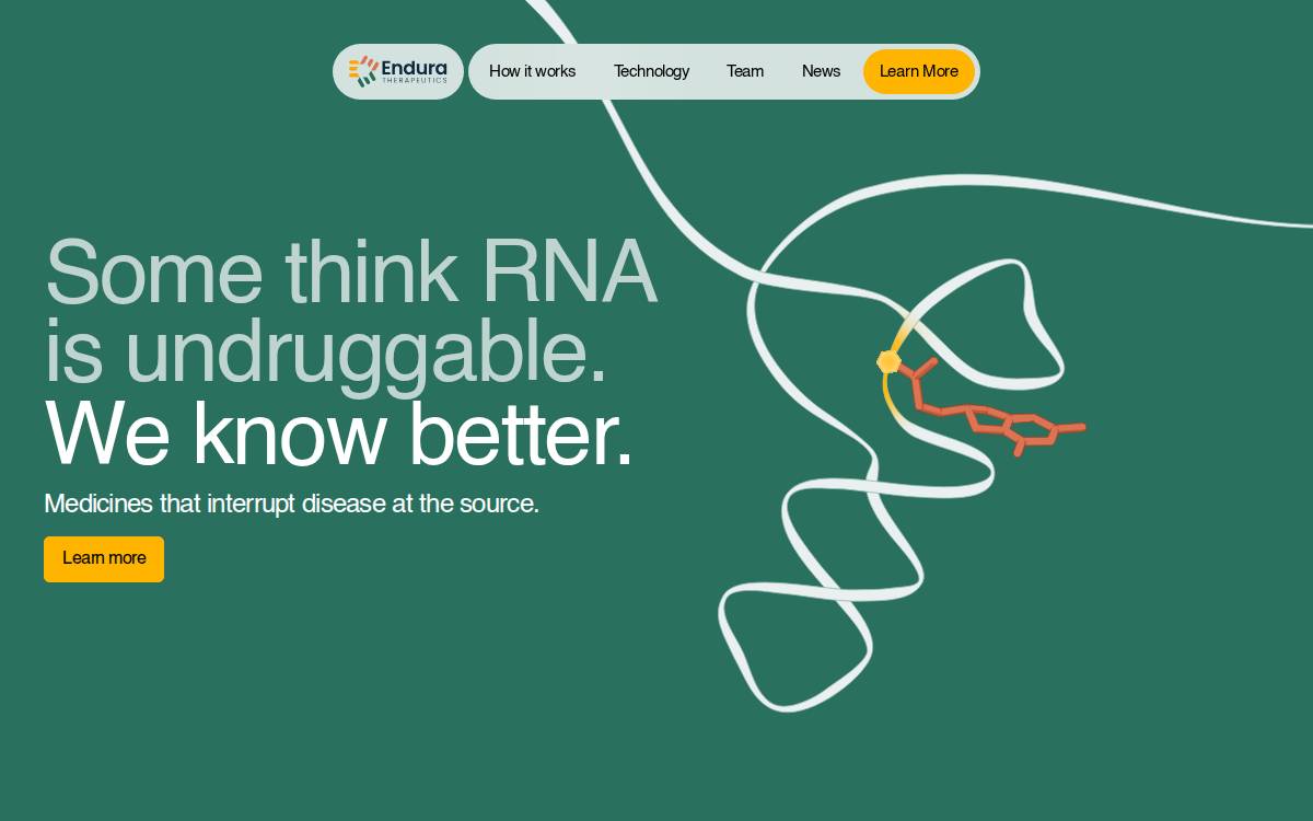 Endura website preview