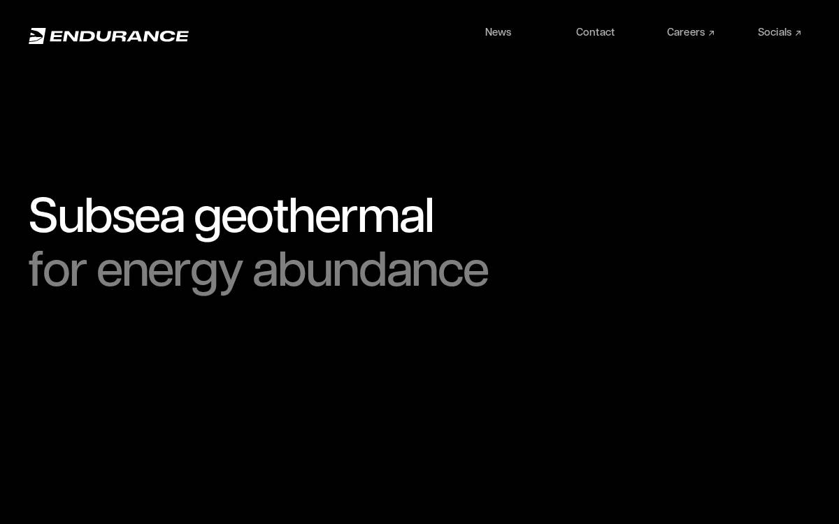 Endurance Energy website preview