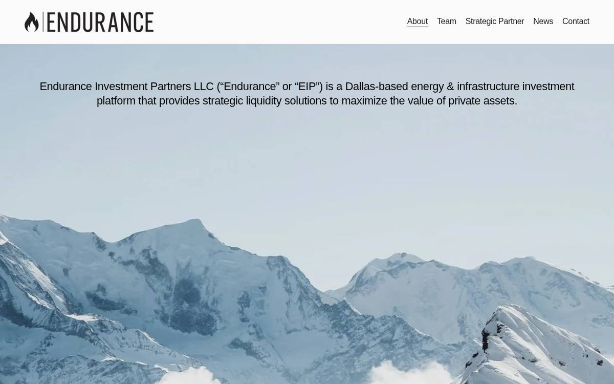 Enduranceinfra website preview