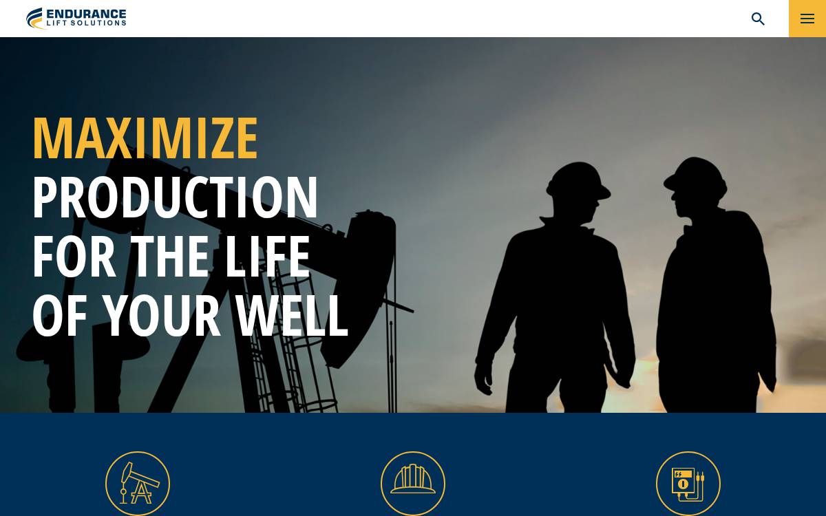 Endurancelift website preview