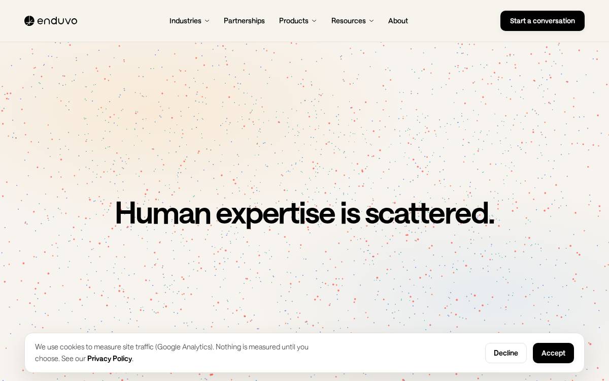 Enduvo website preview