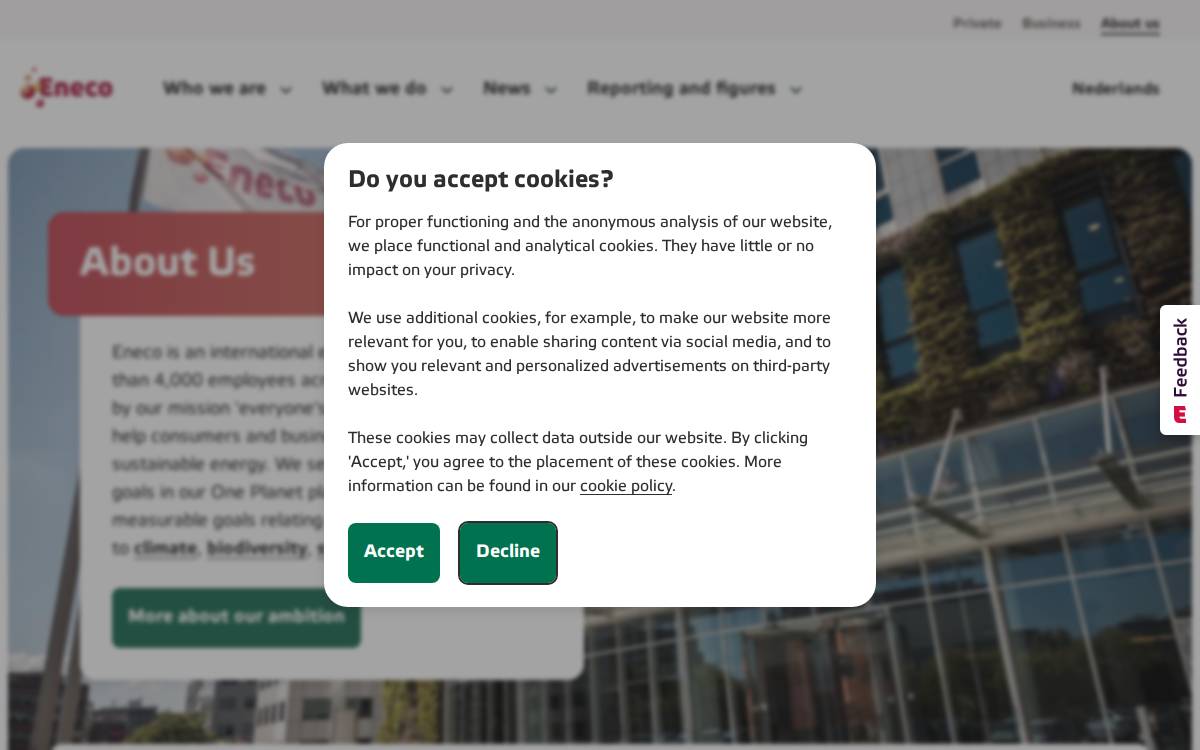Eneco website preview