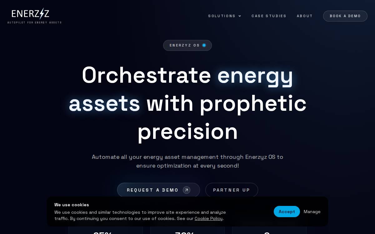 Enerzyz website preview