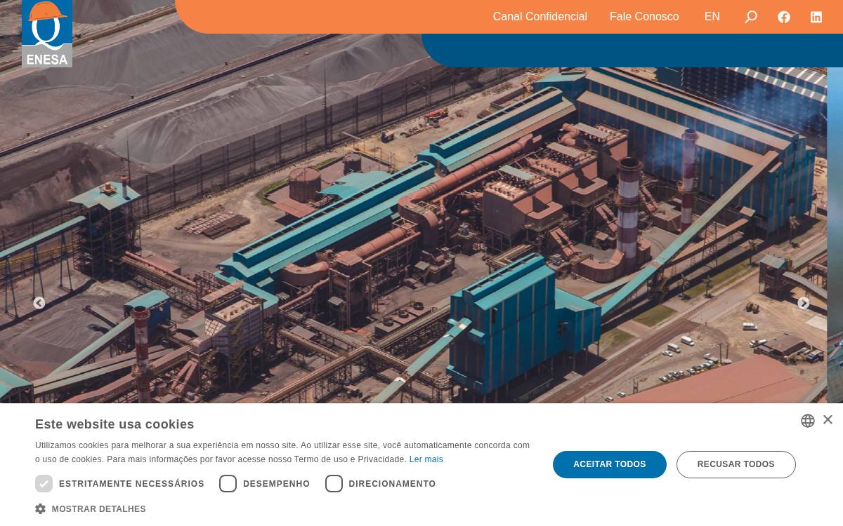 ENESA website preview