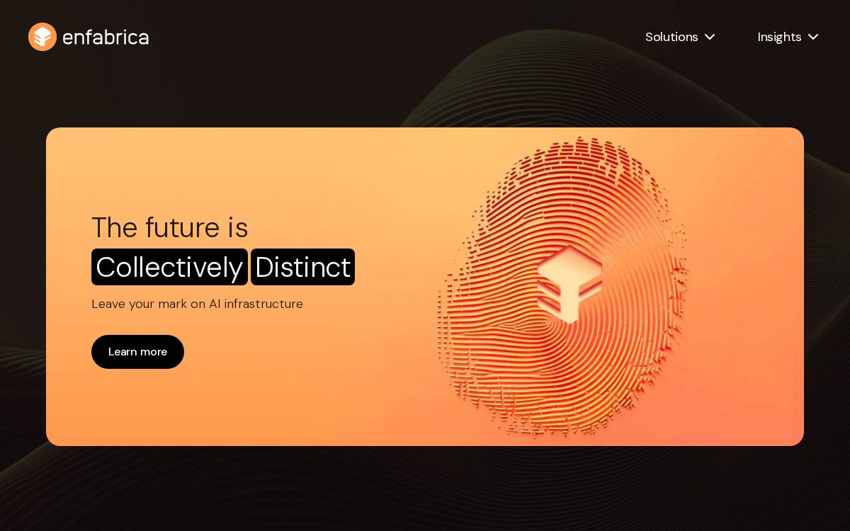 Enfabrica website preview