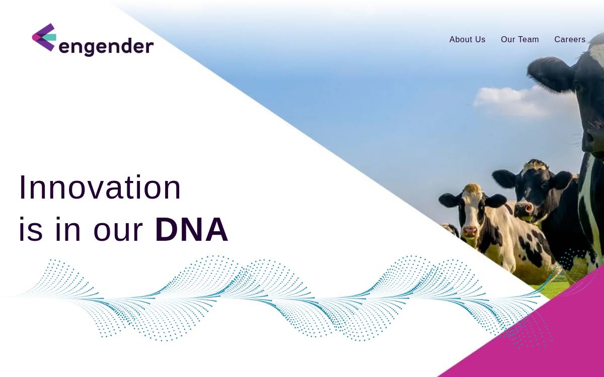 Engender Technologies website preview