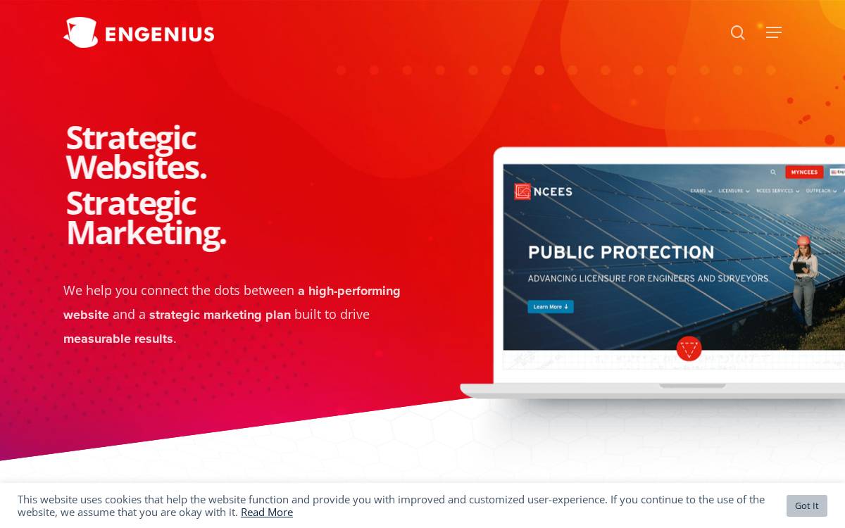 Engenius website preview