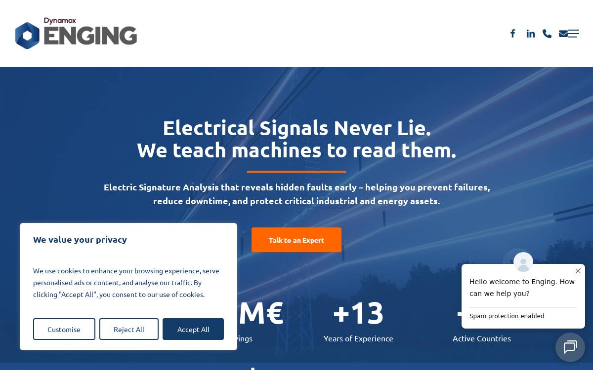 Enging website preview