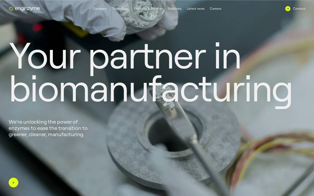 Enginzyme website preview