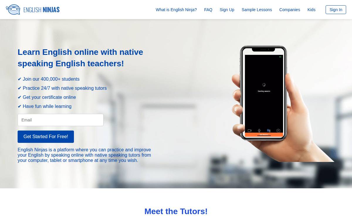 English Ninjas website preview