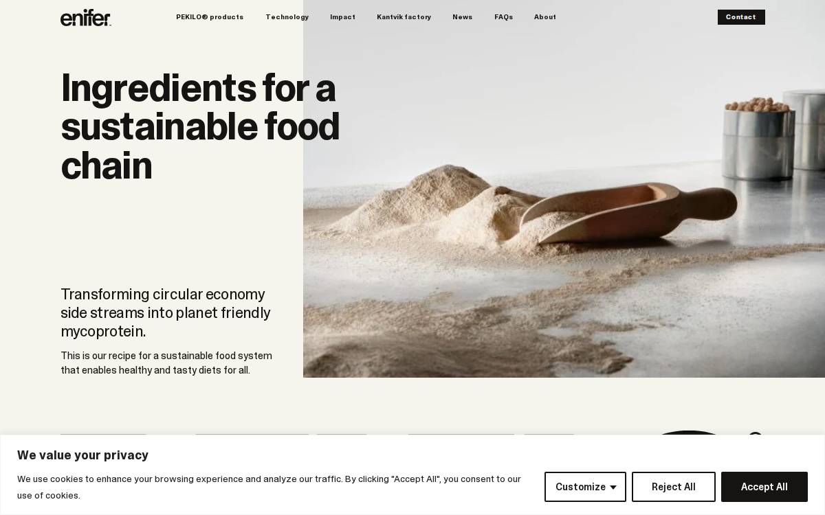 Enifer website preview