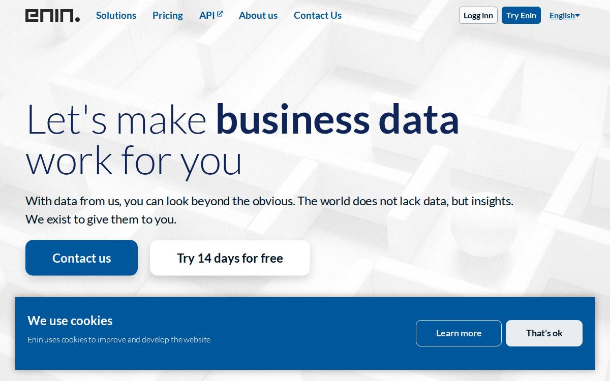 Enin website preview