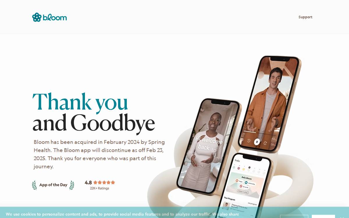Enjoybloom website preview