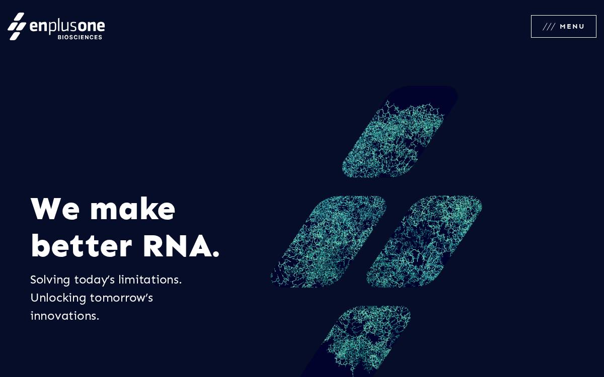 EnPlusOne Biosciences website preview