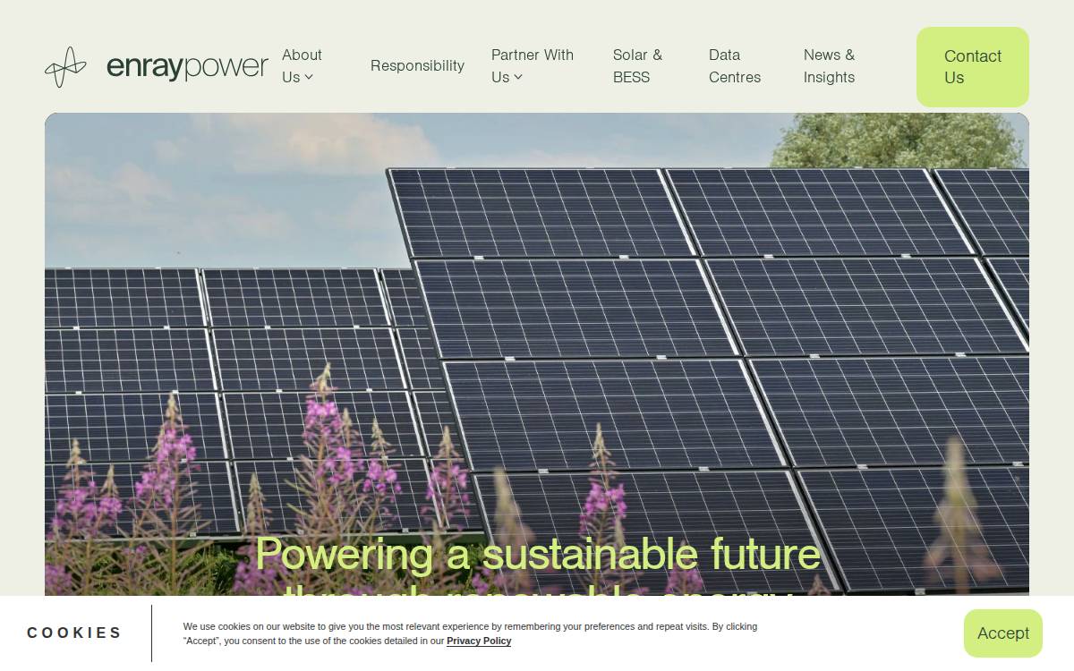 Enray Power website preview