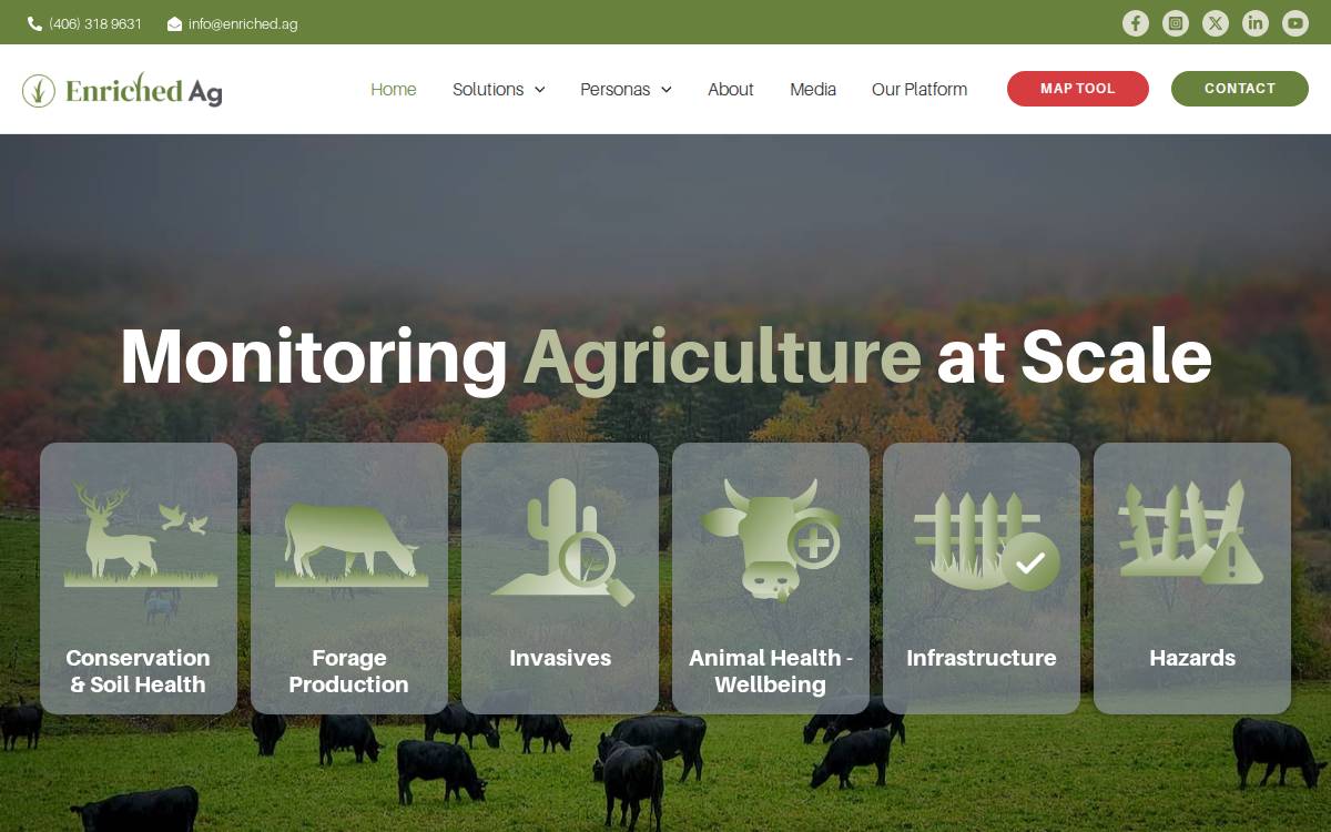 Enriched website preview