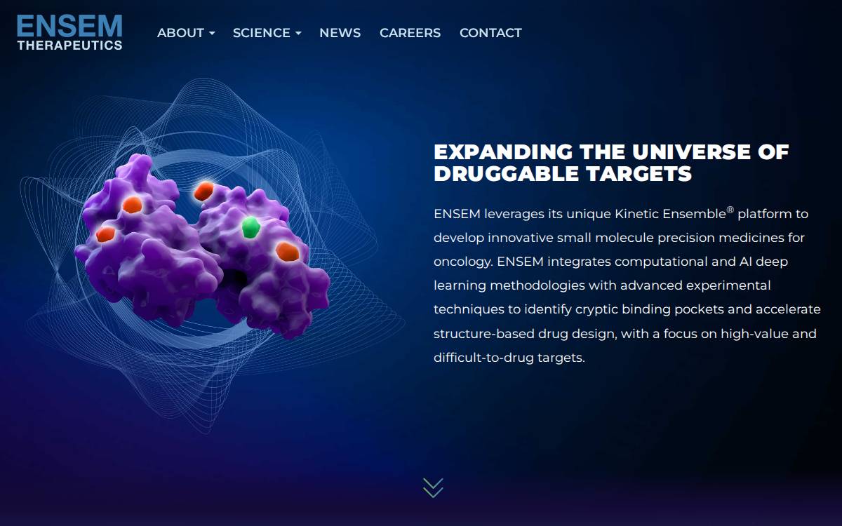 Ensemtx website preview