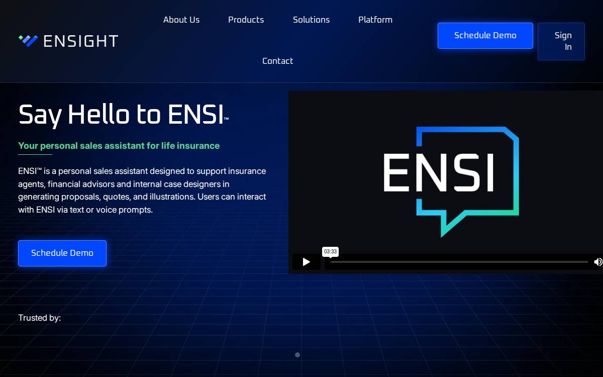 Ensight website preview