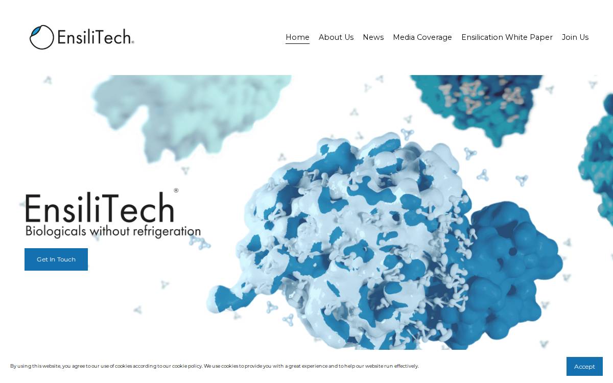 Ensilitech website preview