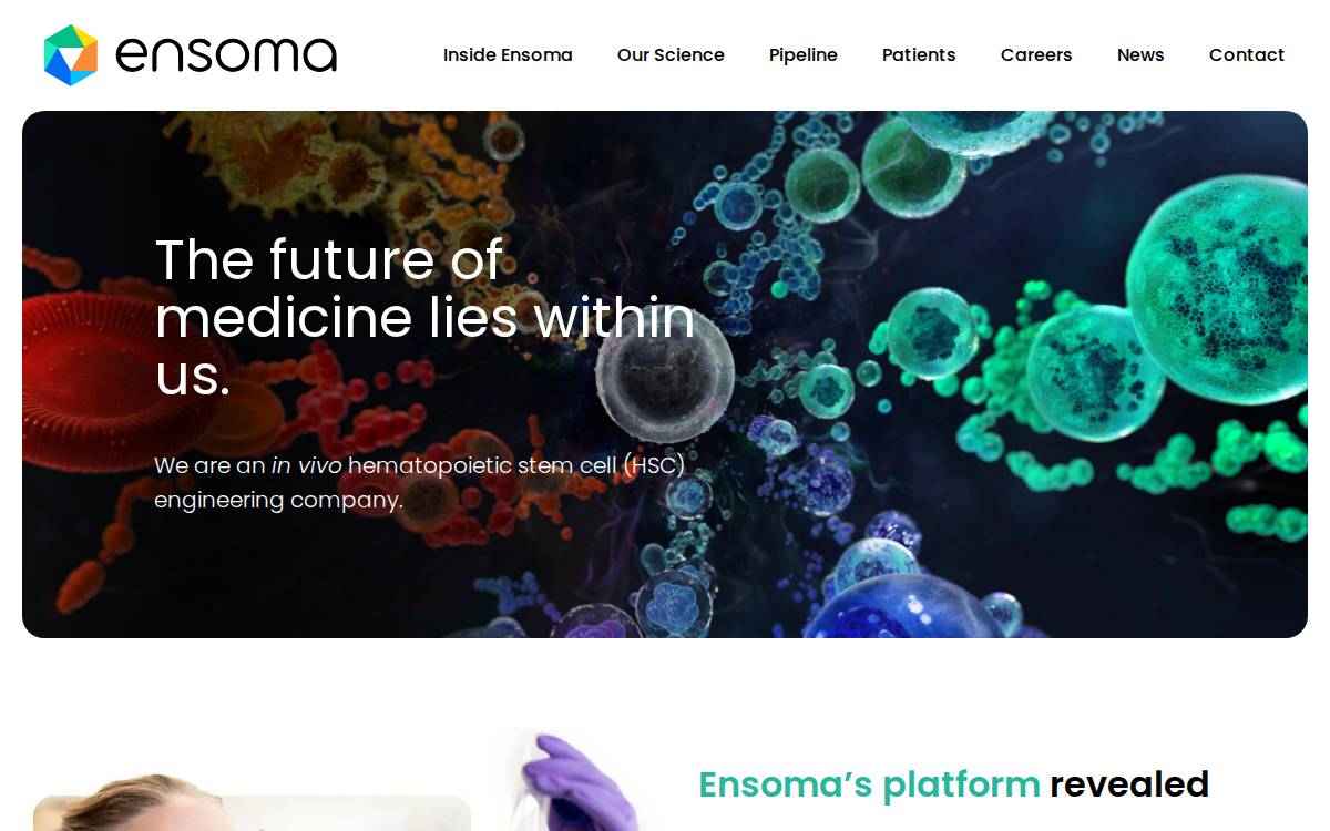 Ensoma website preview
