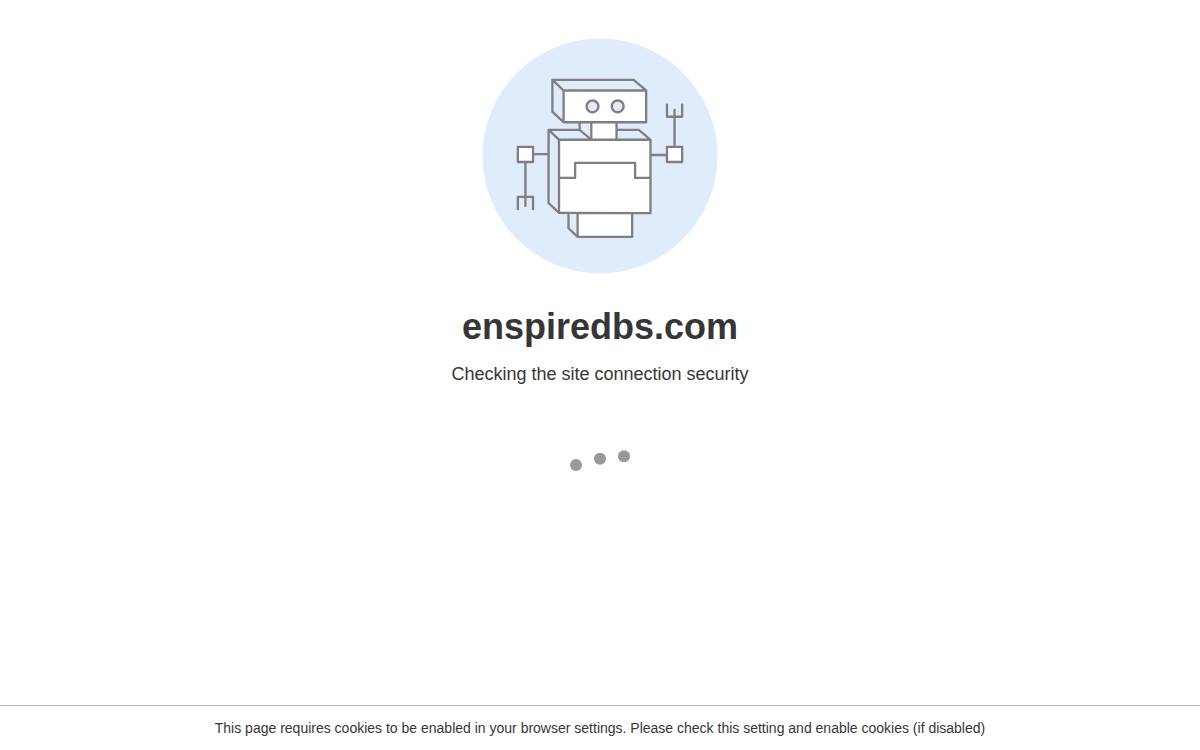 Enspiredbs website preview