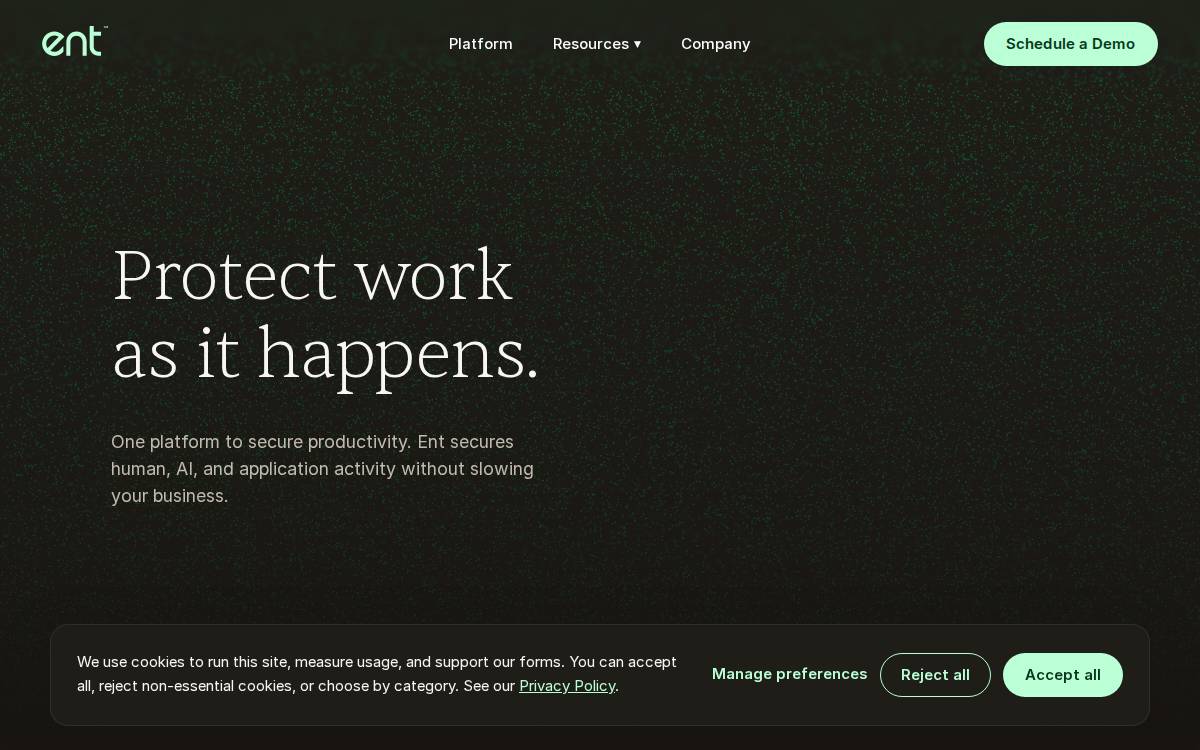 Ent Security website preview
