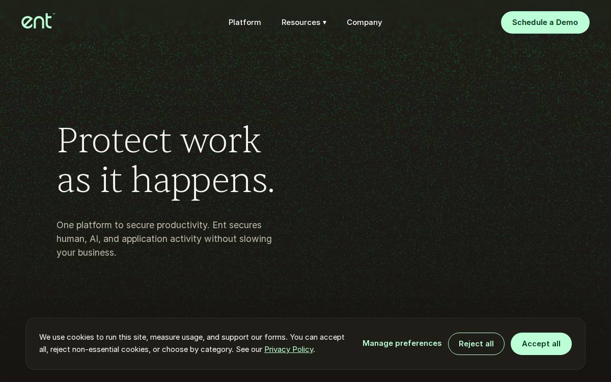 Ent website preview