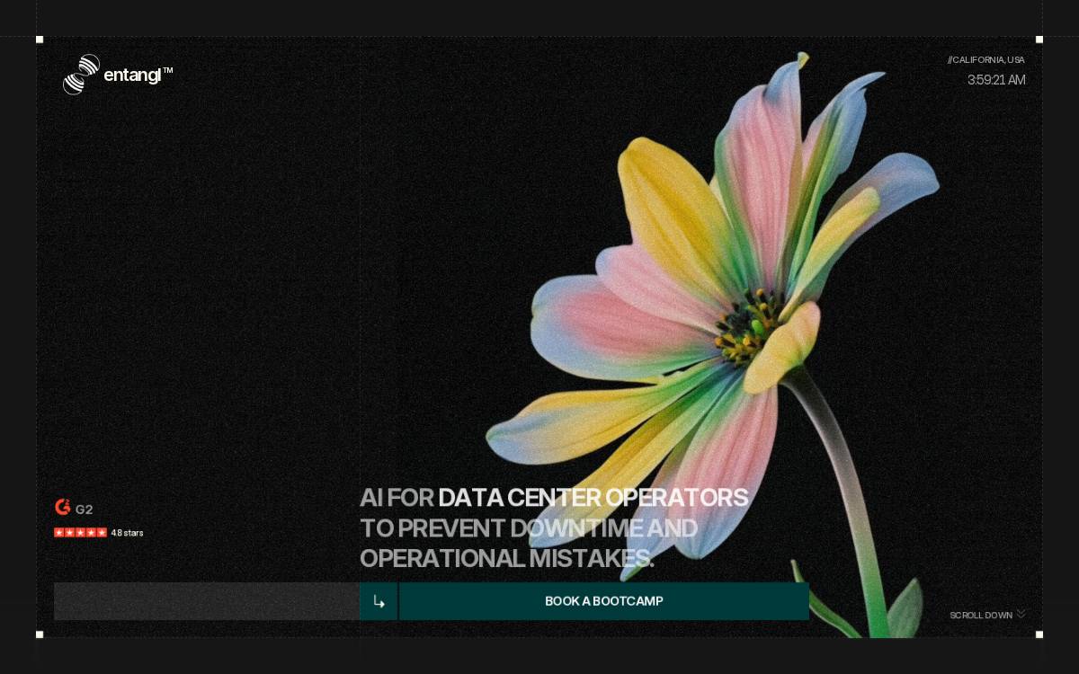 Entangl website preview