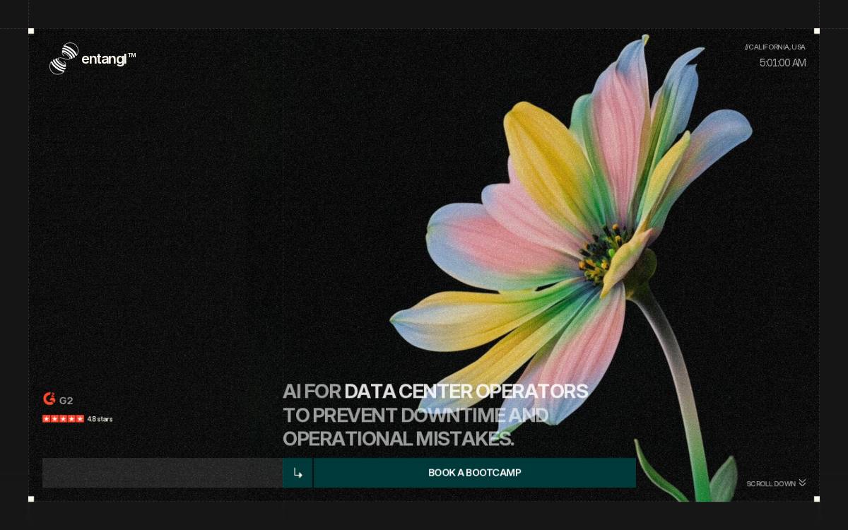 Entangl website preview